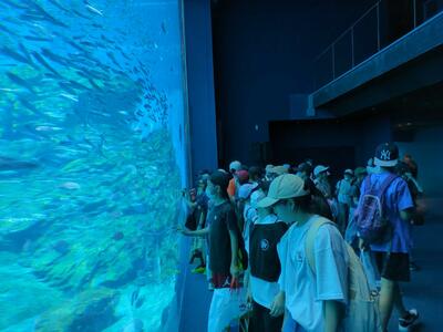 うみの杜水族館